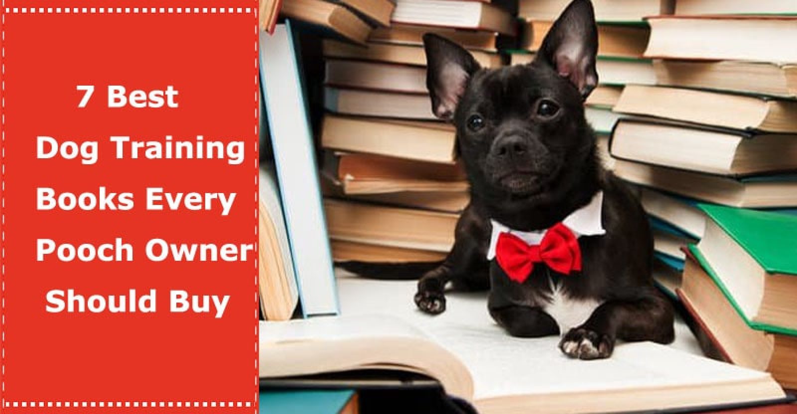 7 Best Dog Training Books Every Pooch Owner Should Buy PetXU