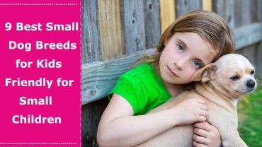 best small dog for kid children friendly