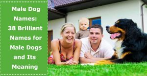 dog name male with meaning