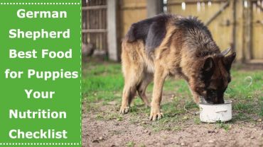 german shepherd best food for puppies