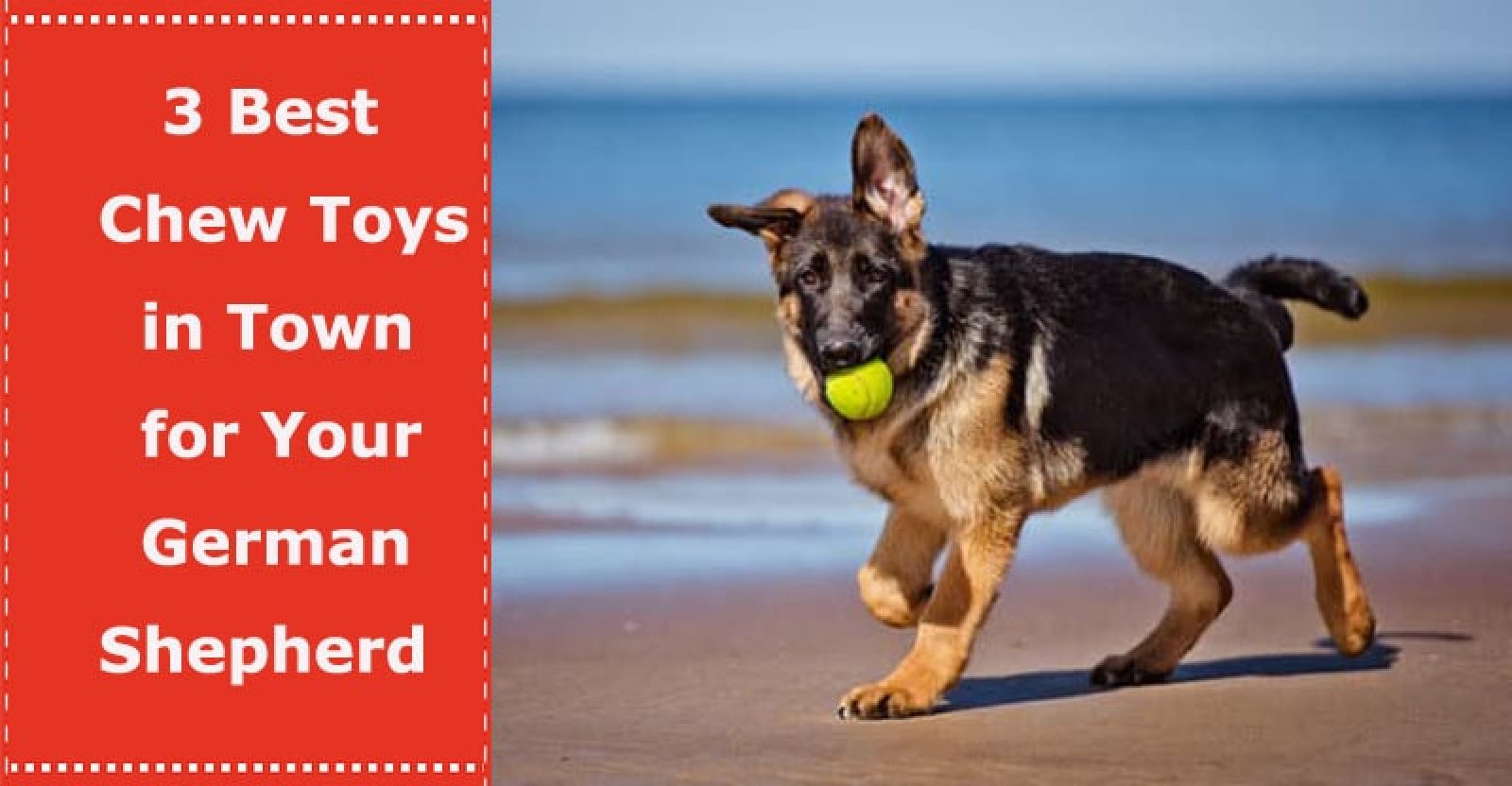 3 Best Chew Toys in Town for Your German Shepherd PetXU