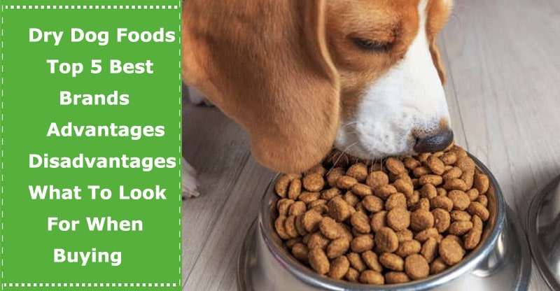 Dry Dog Foods: Top 5 Best Brands, Advantages ...