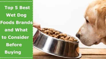 best wet dog food