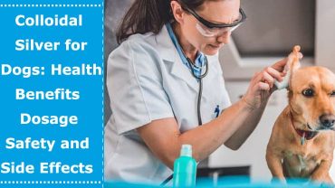 colloidal silver for dogs