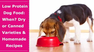 low protein dog food