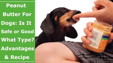peanut butter for dogs
