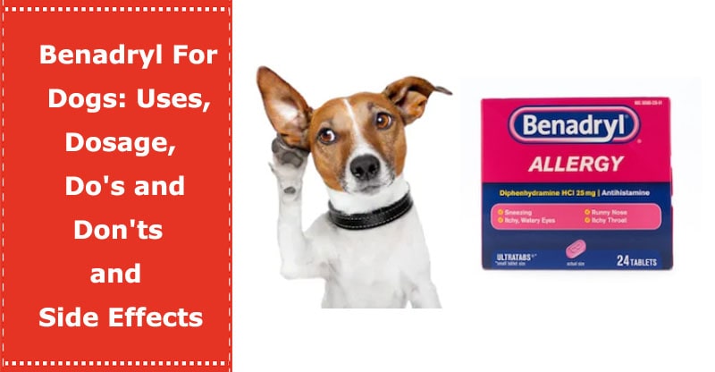 effects of benadryl on a dog