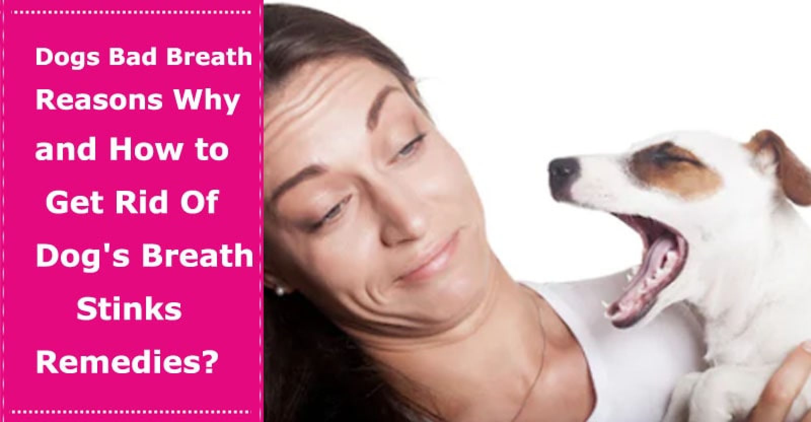 Dogs with Bad Breath Reasons Why and How to Get Rid Of Your Dog’s