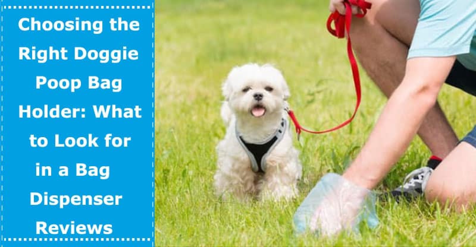 Choosing the Right Doggie Poop Bag Holder What to Look for in a Bag Dispenser Reviews PetXU